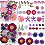 150PCS Purple Dried Pressed Flowers - Image 4