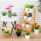 26Pcs Dollhouse Plant, Miniature Bonsai Plant Mini Potted Plants Flower - Image 3