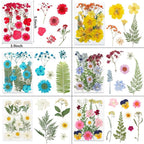 NESCCI 428 Pcs Dried Pressed Flowers - Image 3