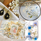 90Pcs Mini Dried Pressed Baby's Breath Flowers Bulk - Image 7