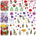 MIKIYA 150Pcs Dried Pressed Flowers - Image 5