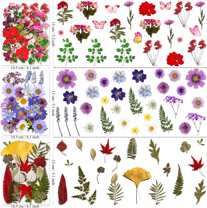 MIKIYA 150Pcs Dried Pressed Flowers - Image 5