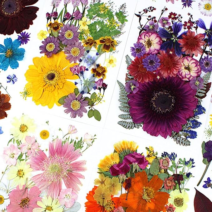 35Pcs Dried Pressed Flowers for Crafts Resin DIY Art Natural Dry Floral Large - Image 3