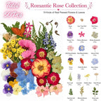 Pressed Dried Flowers for Crafts, Wedding DIY, Jewelry Making, Scrapbooking & - Image 2