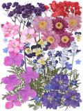 11 Types 46pcs Real Dried Pressed Flowers Leaf Plant Herbarium by AHTONG