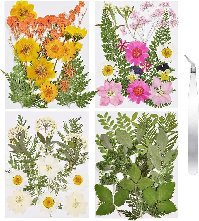 Dried Flowers for Resin | 68pcs Bulk Real Natural Pressed Flowers for DIY Art by CONVELIFE