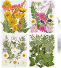 Dried Flowers for Resin | 68pcs Bulk Real Natural Pressed Flowers for DIY Art by CONVELIFE