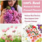 83 Pcs Pink Real Dried Pressed Flowers Natural Leave Petals - Image 2