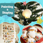 Baaxxango 12 PCS 4-5 Inch Large Scallop Seashells, Natural White Shells - Image 5