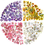 160 Pcs Transparent Flower Stickers by Obujopal