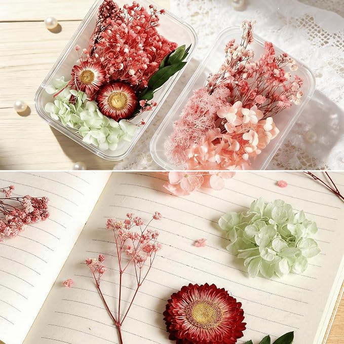 2PCS Dried Flowers Kit, Natural Dried Flowers Kit - Image 2
