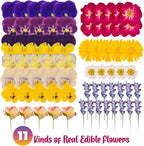70 Pcs 11kinds Edible Dried Pressed Flowers - Image 3