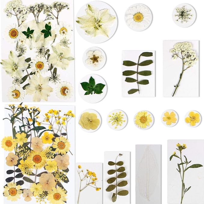 BIHRTC 100PCS Dried Flowers for Resin Real Dry Flower Natural Pressed Died - Image 2