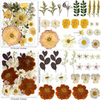 148PCS Dried Pressed Flowers for Resin Craft - Image 3