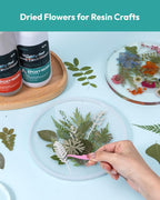 Resiners Dried Pressed Flowers for Resin Molds, Real Natural Dried Flowers Dry - Image 5