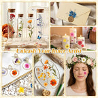 Dried Flowers for Crafts, Card Making, Nail Art, Scrapbooking - Image 6