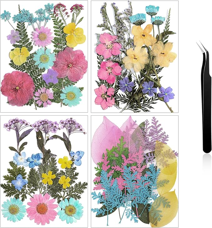 Nuanchu Pastel Dried Flower for Crafts Resin Pressed Flowers Bulk Real Dried by Nuanchu