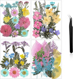 Nuanchu Pastel Dried Flower for Crafts Resin Pressed Flowers Bulk Real Dried by Nuanchu