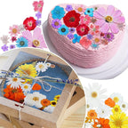 Nuanchu Dried Flower for Crafts Resin Pressed Flowers Bulk Real Dried - Image 6