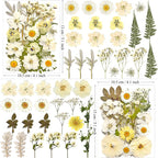 MIKIYA 90Pcs White Dried Pressed Flowers - Image 6