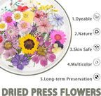 200Pcs Dried Pressed Flowers Resin Mould Real Flowers Natural Dry Leaves Bulk - Image 4