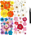 Nuanchu Dried Flower for Crafts Resin Pressed Flowers Bulk Real Dried by Nuanchu