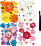 Nuanchu Dried Flower for Crafts Resin Pressed Flowers Bulk Real Dried by Nuanchu
