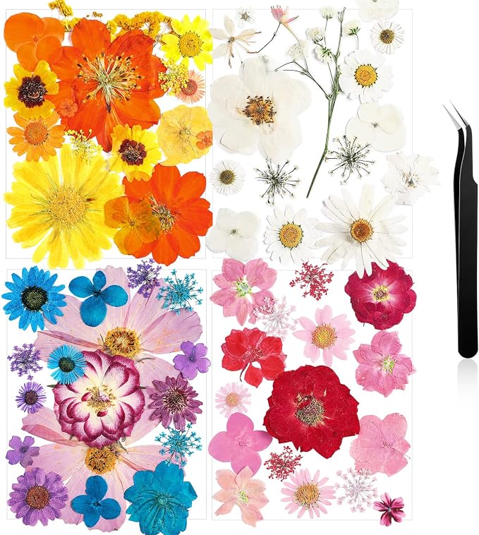 Nuanchu Dried Flower for Crafts Resin Pressed Flowers Bulk Real Dried by Nuanchu