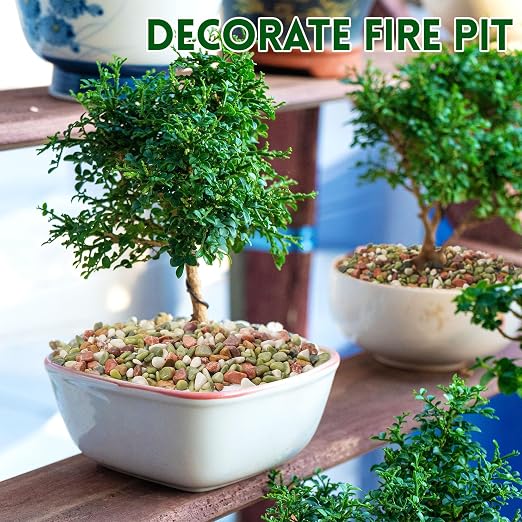 2.2 lb Pebbles for Indoor Plants, 1/2 Inch Decorative Rocks for Potted Plants - Image 4