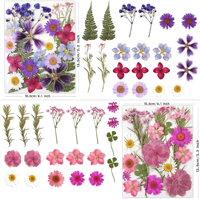 LUXEEASE 80P Yellow Red Pink Blue Dried Pressed Flowers | Fresh natural color - Image 3