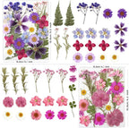 LUXEEASE 80P Yellow Red Pink Blue Dried Pressed Flowers | Fresh natural color - Image 3
