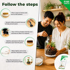 Terrarium Kit for Plants DIY | Starter Pack – Closed Ecosystem – 1 Gal Glass – - Image 3