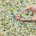 FANTIAN 2 lbs Jade Rocks for Plants Indoor, 1/4 inch Small Pebbles for Plants by FANTIAN-GardeningMakesLifeBetter