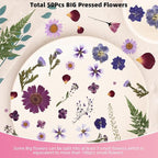 12“ Large Bulk Dried Pressed Flowers - Image 4