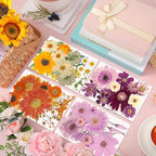 Nuanchu Dried Pressed Flowers Bulk - Image 2