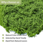 Fake Green Moss for Crafts 7 Oz Decorative Artificial Moss for Crafts - Image 3
