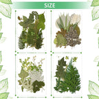 Timtin 84 Pieces Dried Pressed Leaves Flowers - Image 5