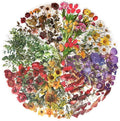 Yoksas Nature Floral Plant Stickers Set by YOKSAS
