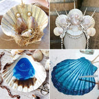 QEQEKAKA 6PCS Scallop Shells 4‘’-4.5" Natural Sea Shells White Hawaiian Scallop - Image 6