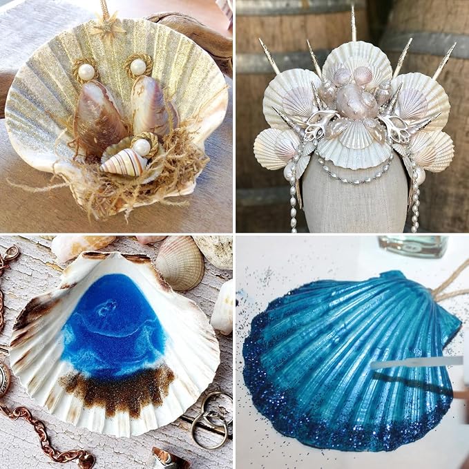 QEQEKAKA 6PCS Scallop Shells 4‘’-4.5" Natural Sea Shells White Hawaiian Scallop - Image 6