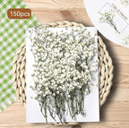 150Pcs Mini Dried Pressed White Baby's Breath Flowers 1-10cm Bulk - Image 4