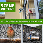 WENMIXER Window Bird Feeder - Image 6
