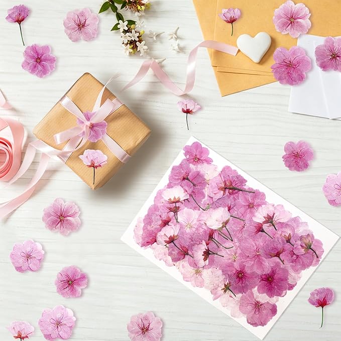 80Pcs Natural Dried Pressed Cherry Blossoms, Edible Flowers Sakura Mix - Image 6