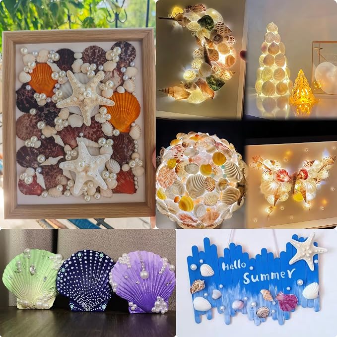 JSPYFITS 2.5-4 Inches Large Starfish and Scallop Shells - Image 7