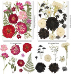 140Pcs Multi-Style Dried Pressed Flowers & Leaves - Image 3