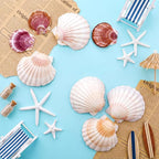 Junkin 40 Pack Natural Scallop Shells and Artificial Starfish - Image 7