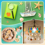 WEOXPR Mixed Sea Shells, 150+ Pcs Beach Seashells Starfish, Various Sizes Ocean - Image 6