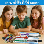PIBEX Jumbo Rock Collection Kit - Image 5