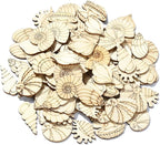 200 pcs Mixed Styles Sea Shell Theme Unfinished Wooden Cutout Charms Conch - Image 8