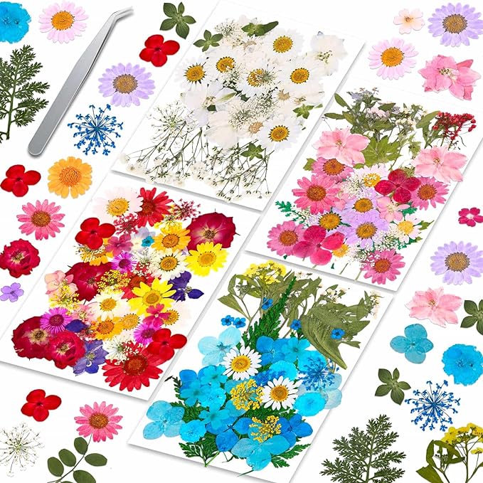 153 Pcs Dried Pressed Flowers Leaves by Evatage